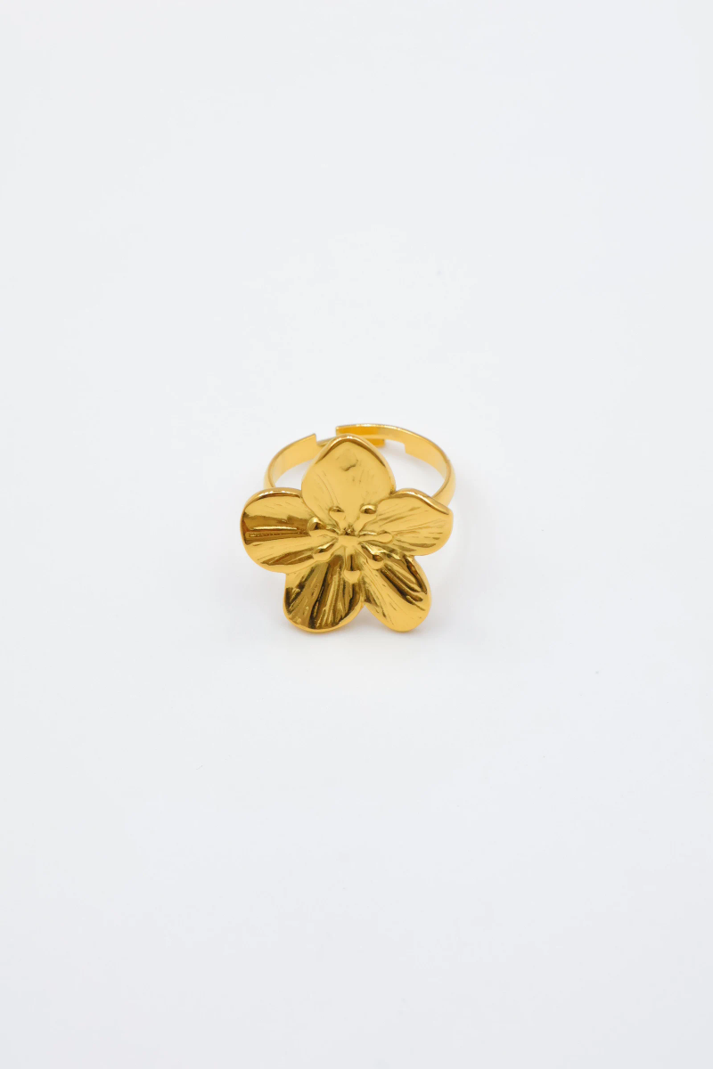 Adjustable stainless steel ring 2