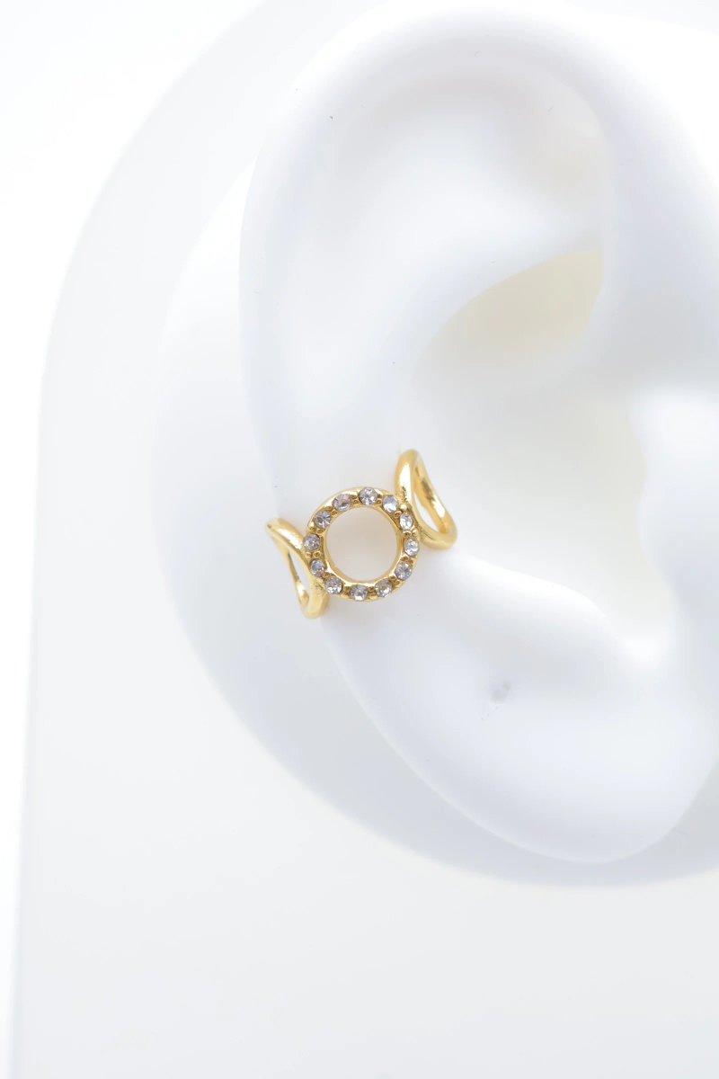 Stainless steel ear piercing