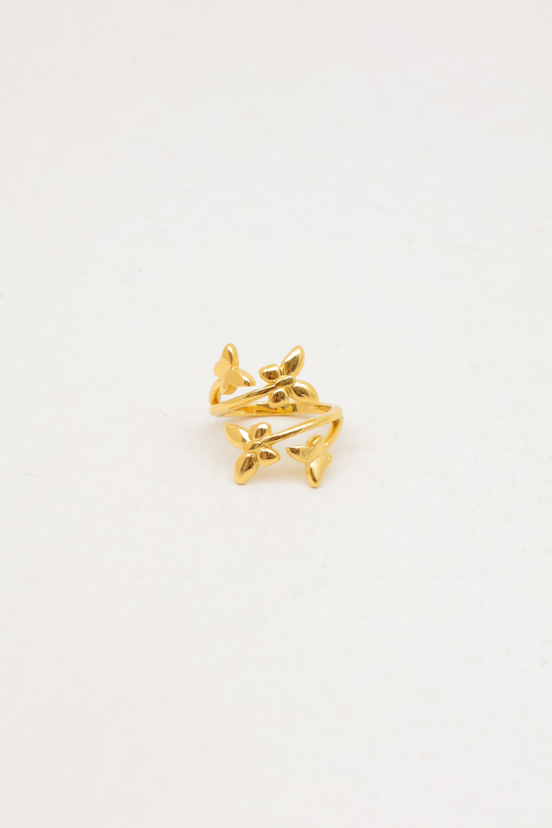 Stainless steel ring 2