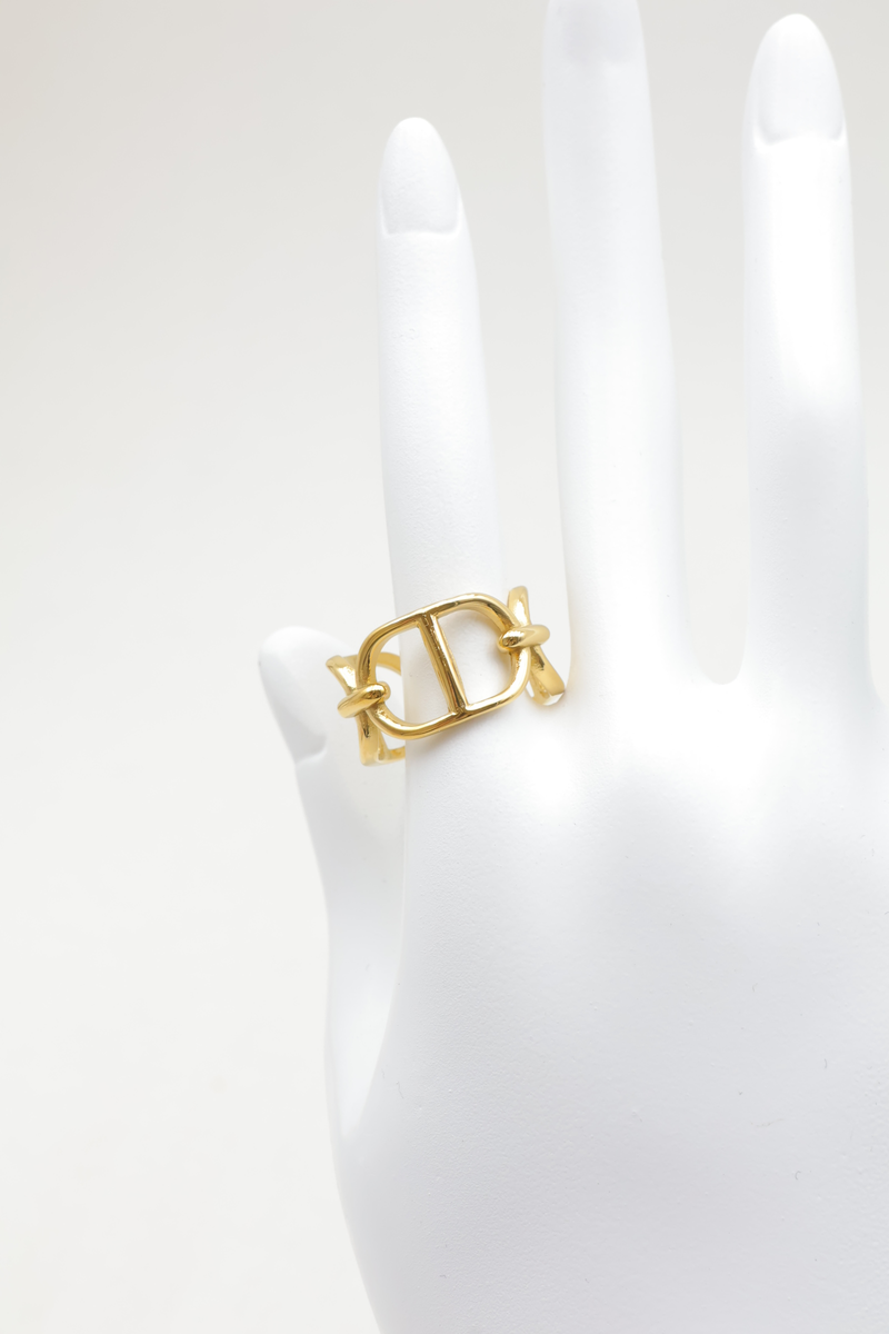 Stainless steel ring 2