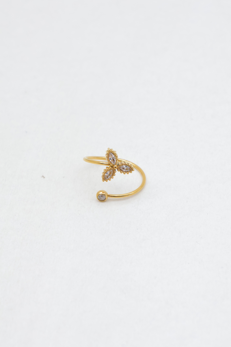 Bague en acier inoxydable 2