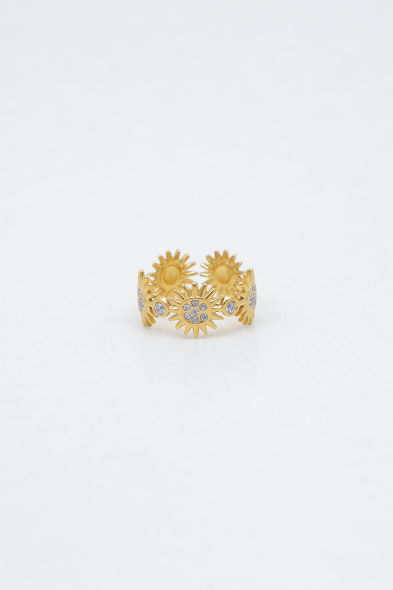Stainless steel ring 2