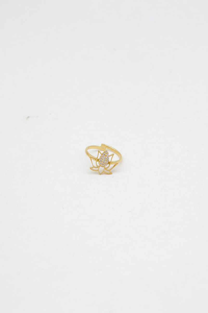 Bague en acier inoxydable 2