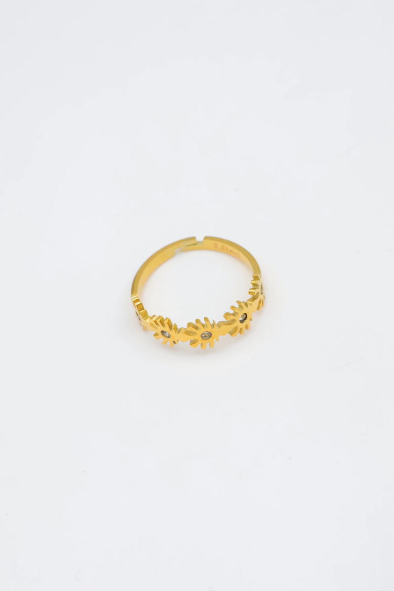 Adjustable stainless steel ring 2