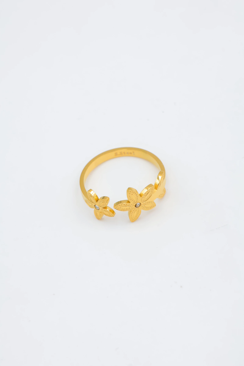 Bague en acier inoxydable ajustable 2