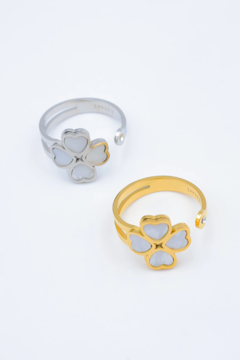 Bague en acier inoxydable ajustable 2