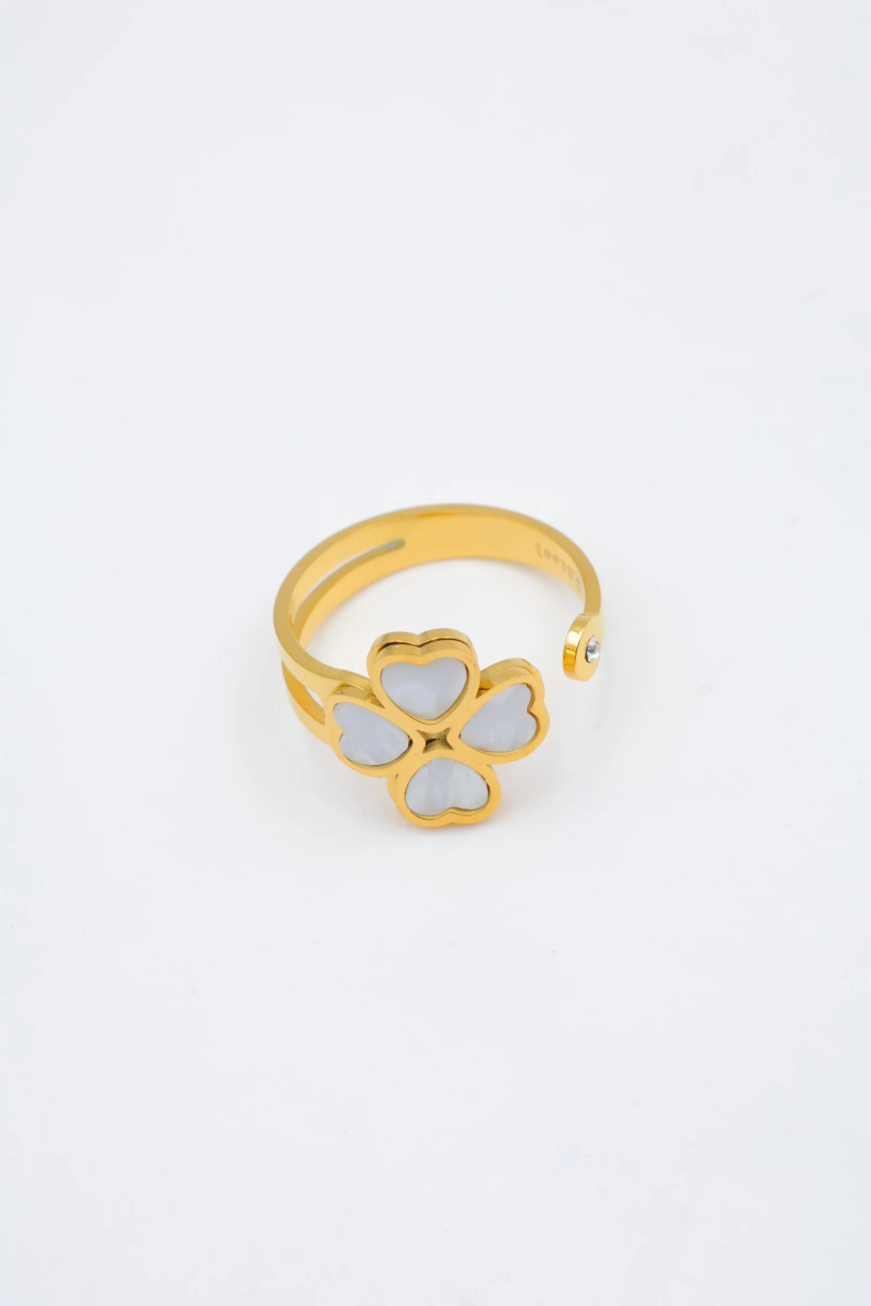 Bague en acier inoxydable ajustable 3
