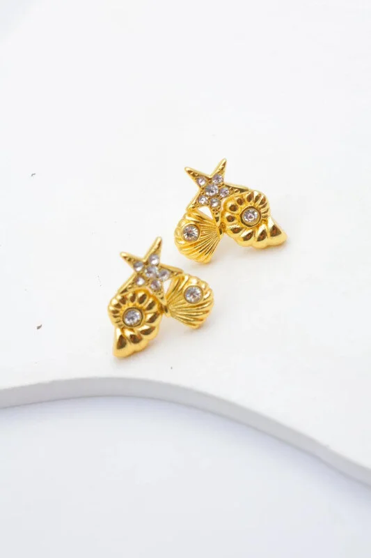 Stainless steel earrings 2