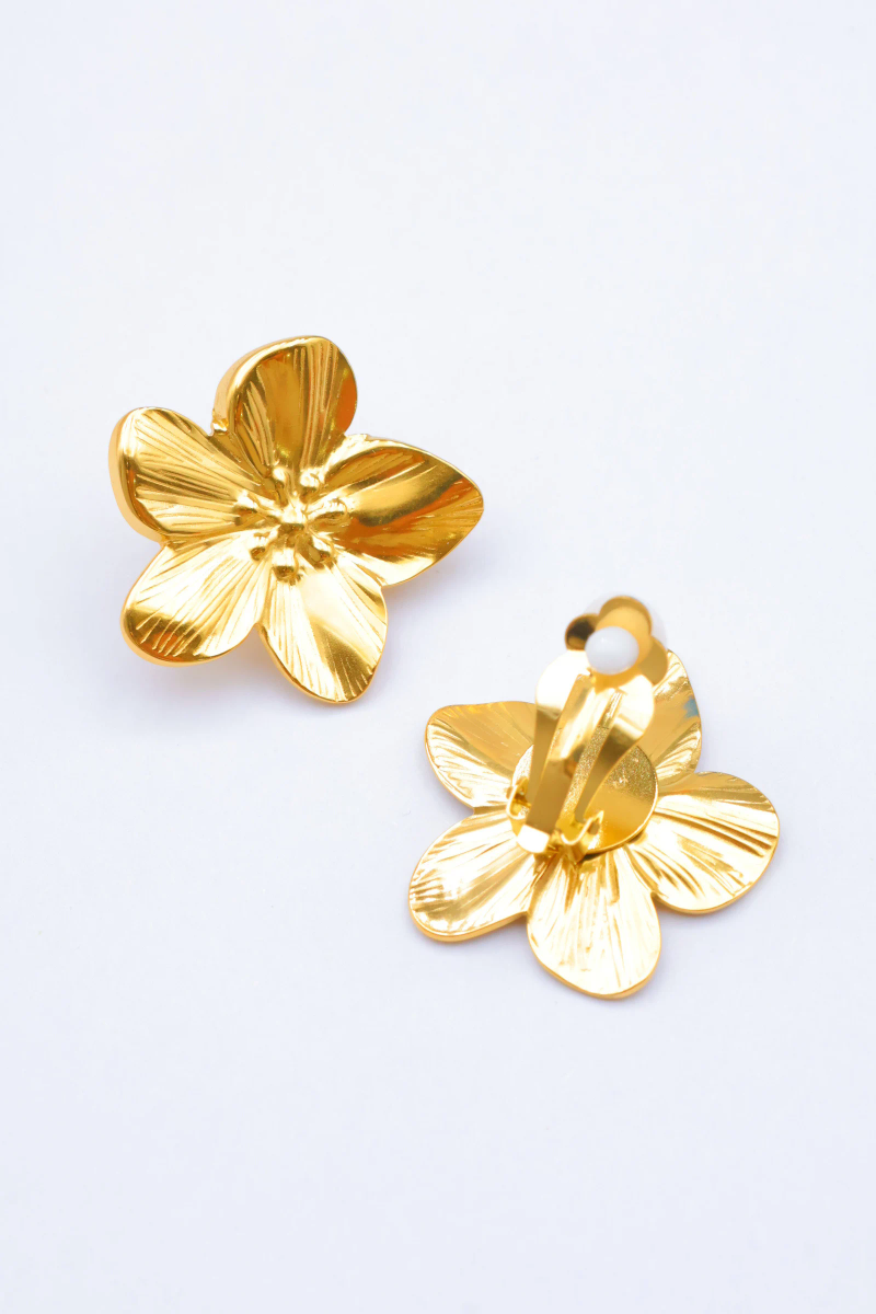 Earrings - clips - stainless steel 2