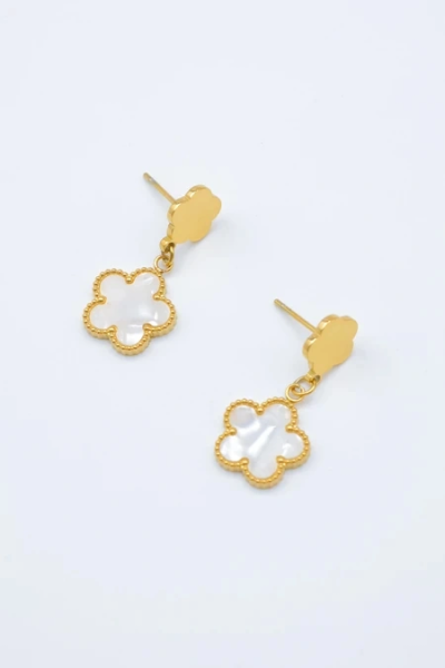 Stainless steel earrings 2