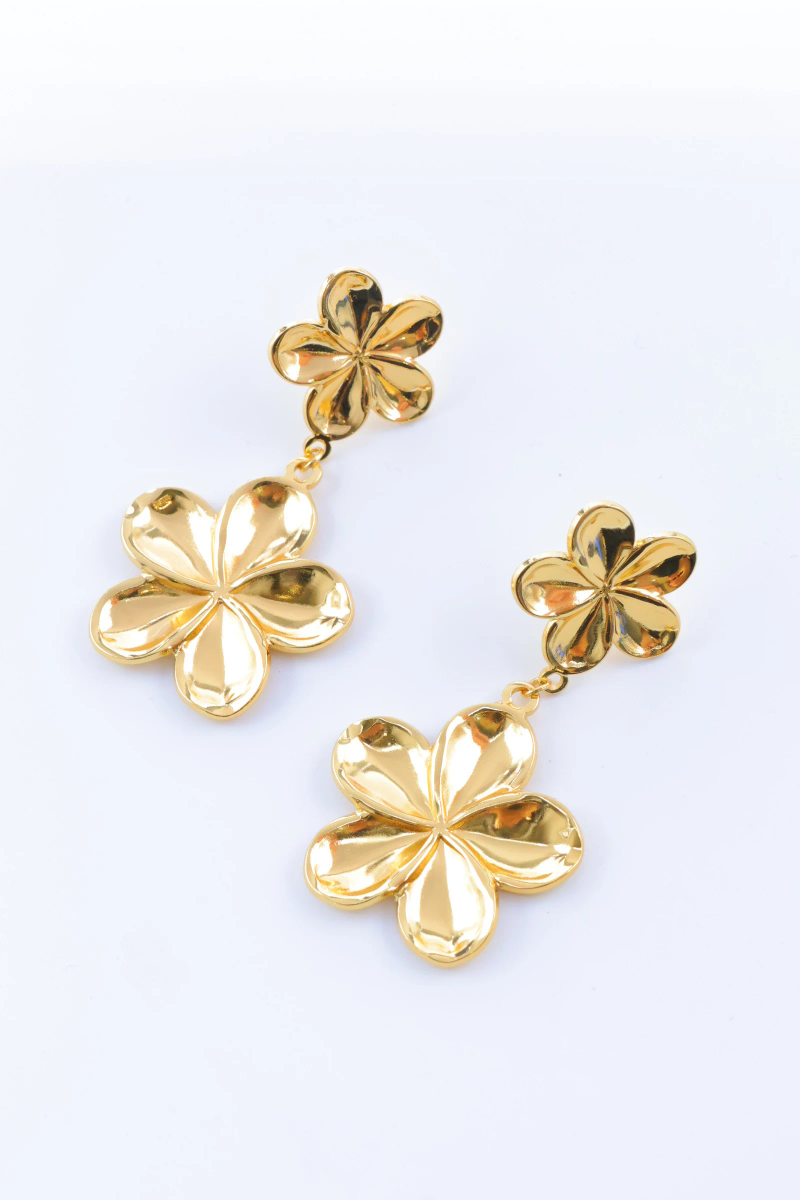 Stainless steel earrings 2