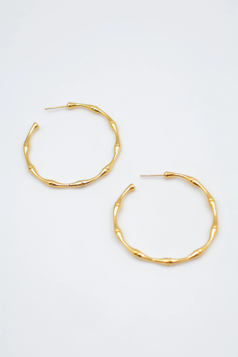Stainless steel earrings 2