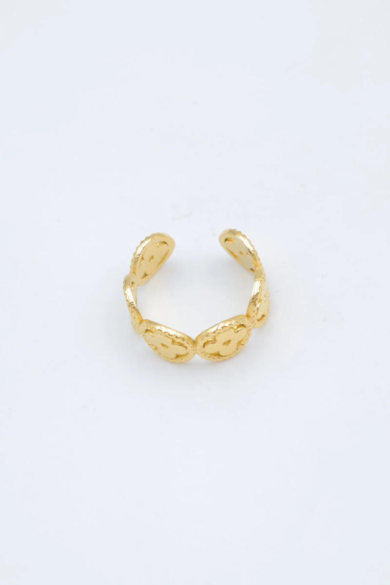 Adjustable stainless steel ring 3