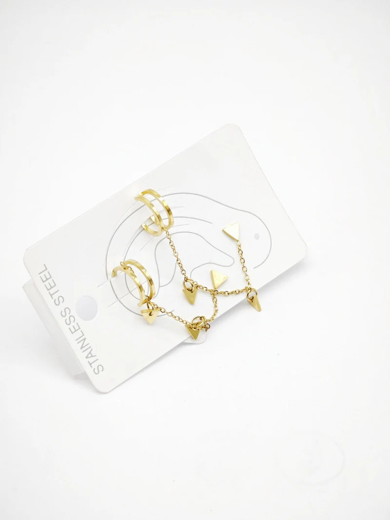 Stainless steel earrings 2