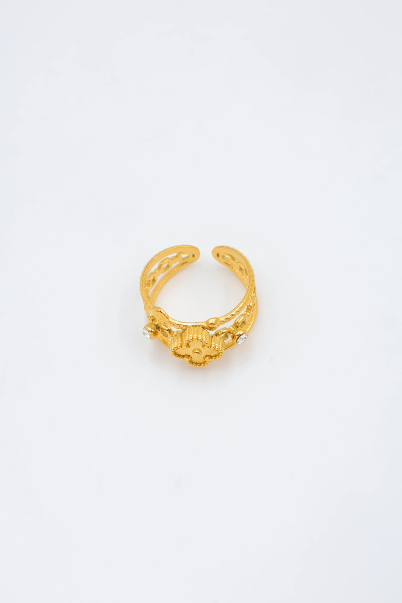 Adjustable stainless steel ring 2