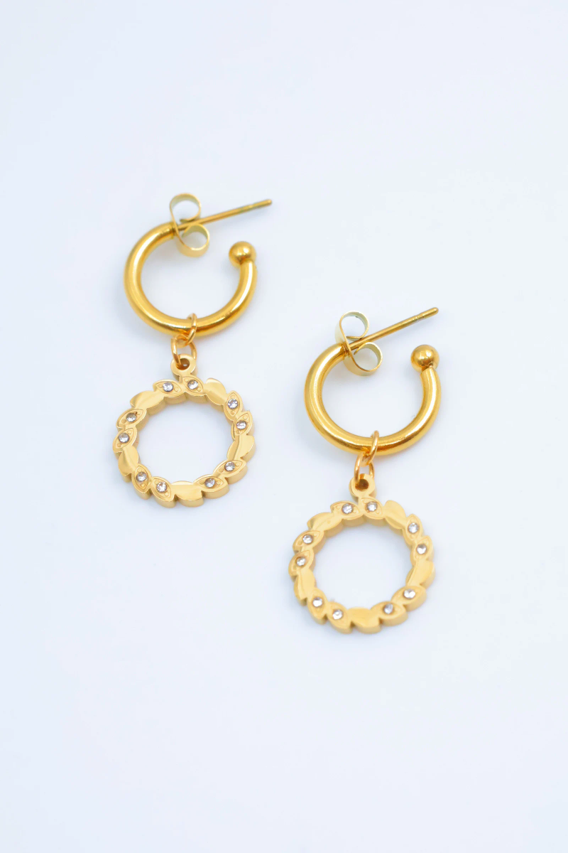 Stainless steel earrings 2
