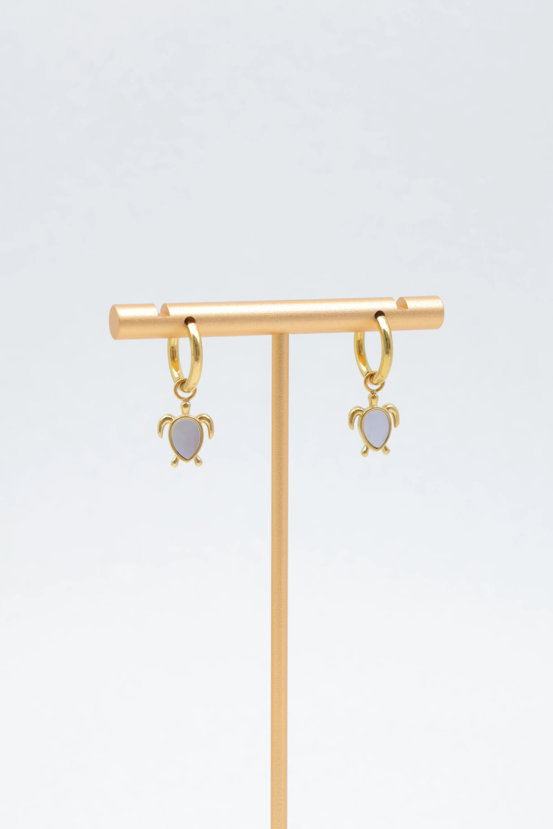 Stainless steel earrings 2