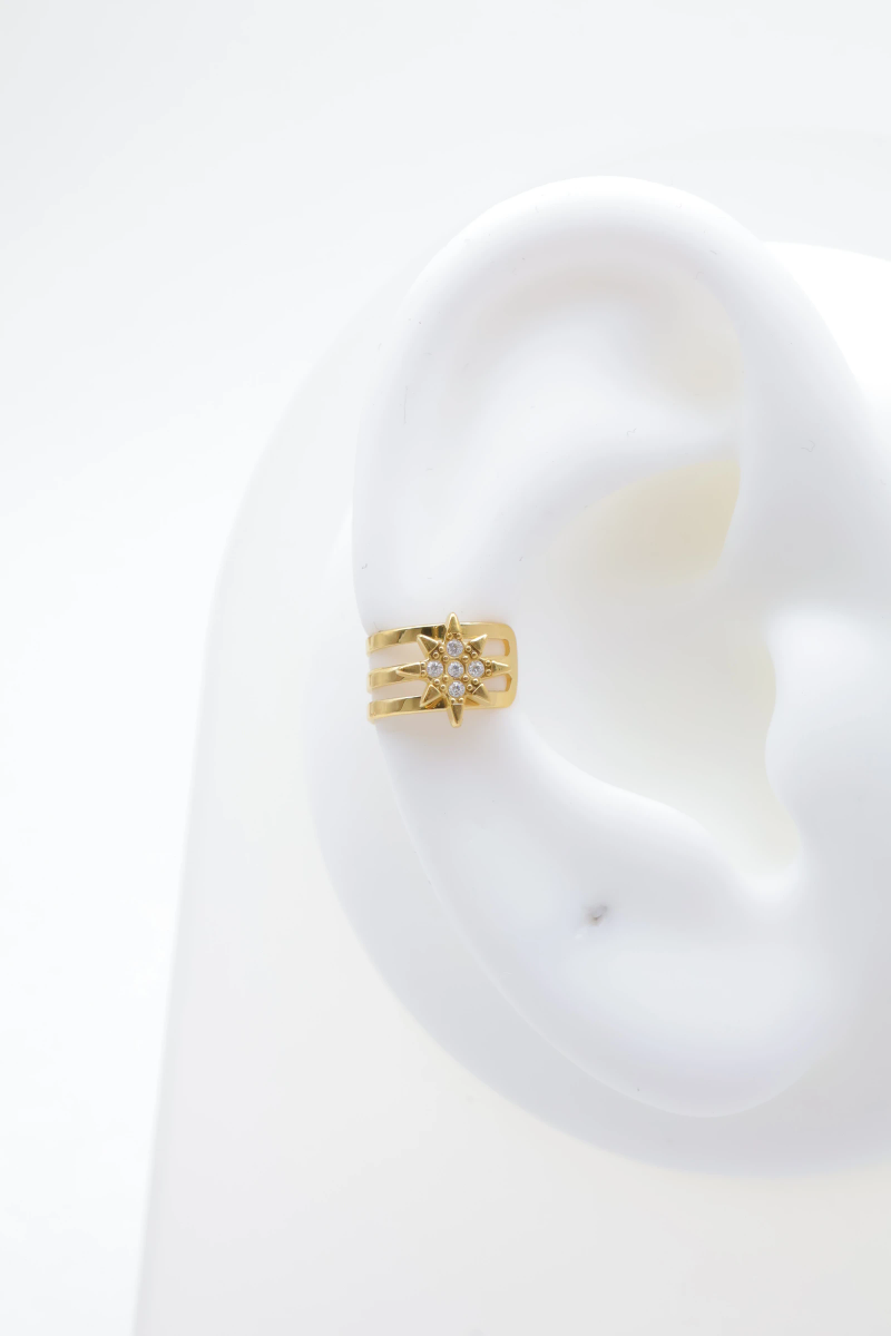 Stainless steel ear piercing 2