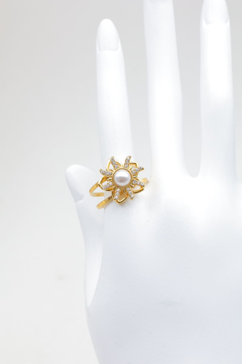 Stainless steel ring 2