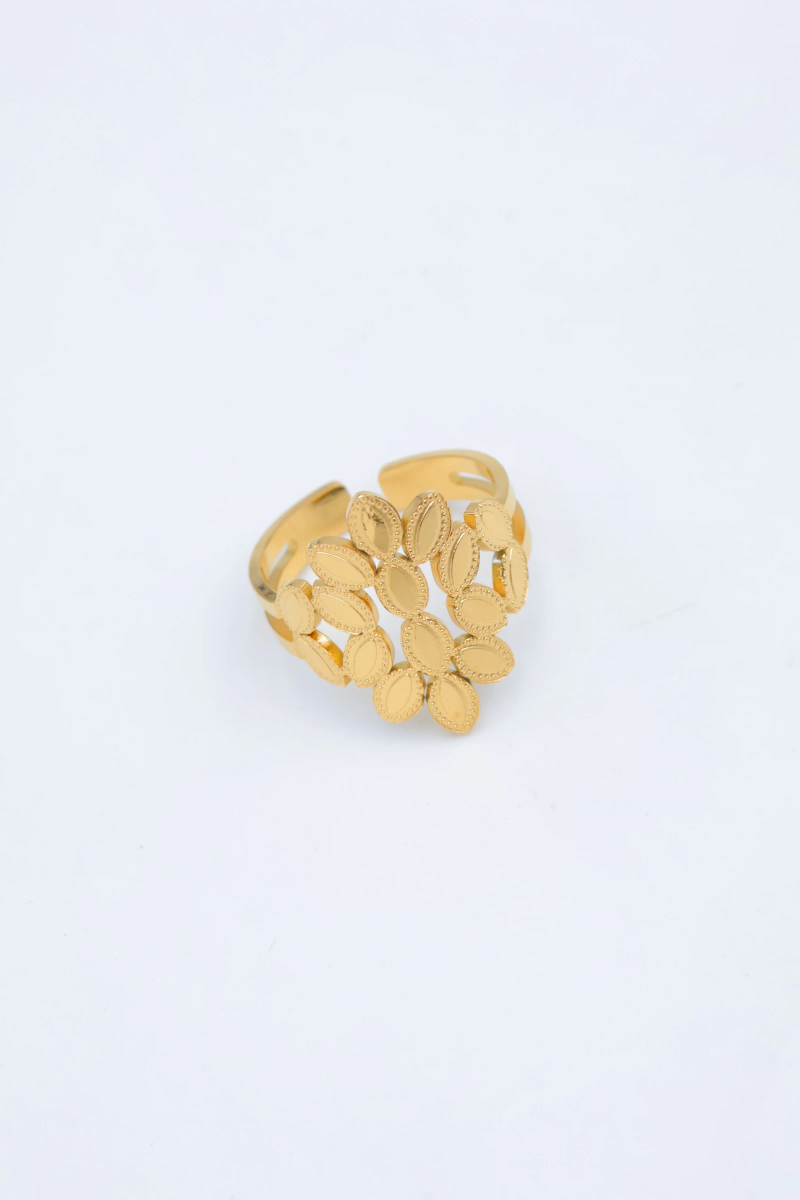 Bague en acier inoxydable ajustable 2