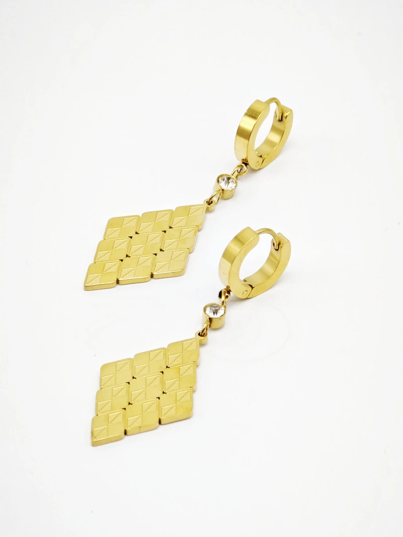 Stainless steel earrings 2