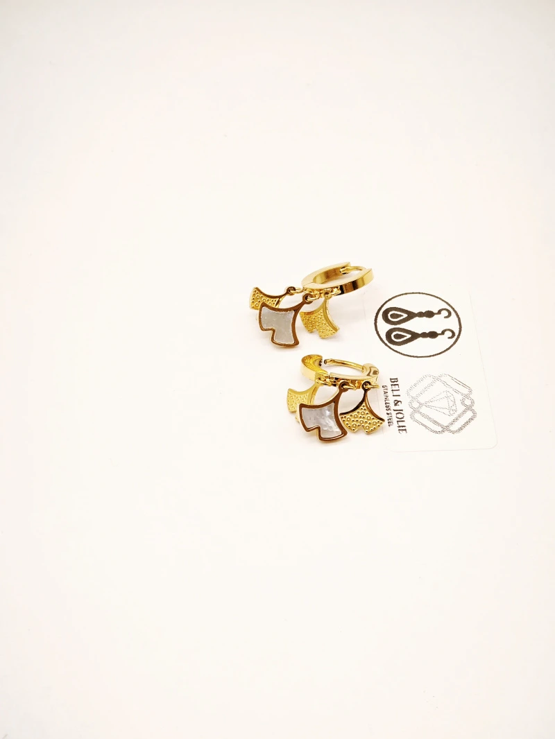 Stainless steel earrings 2