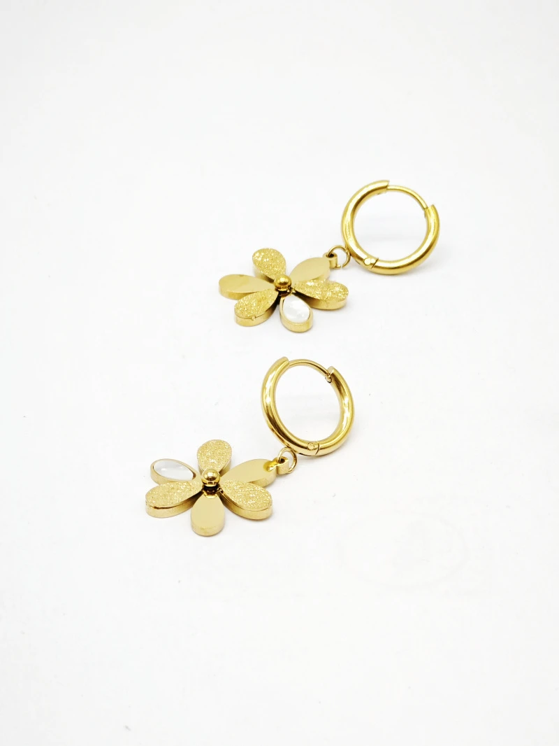 Stainless steel earrings 2
