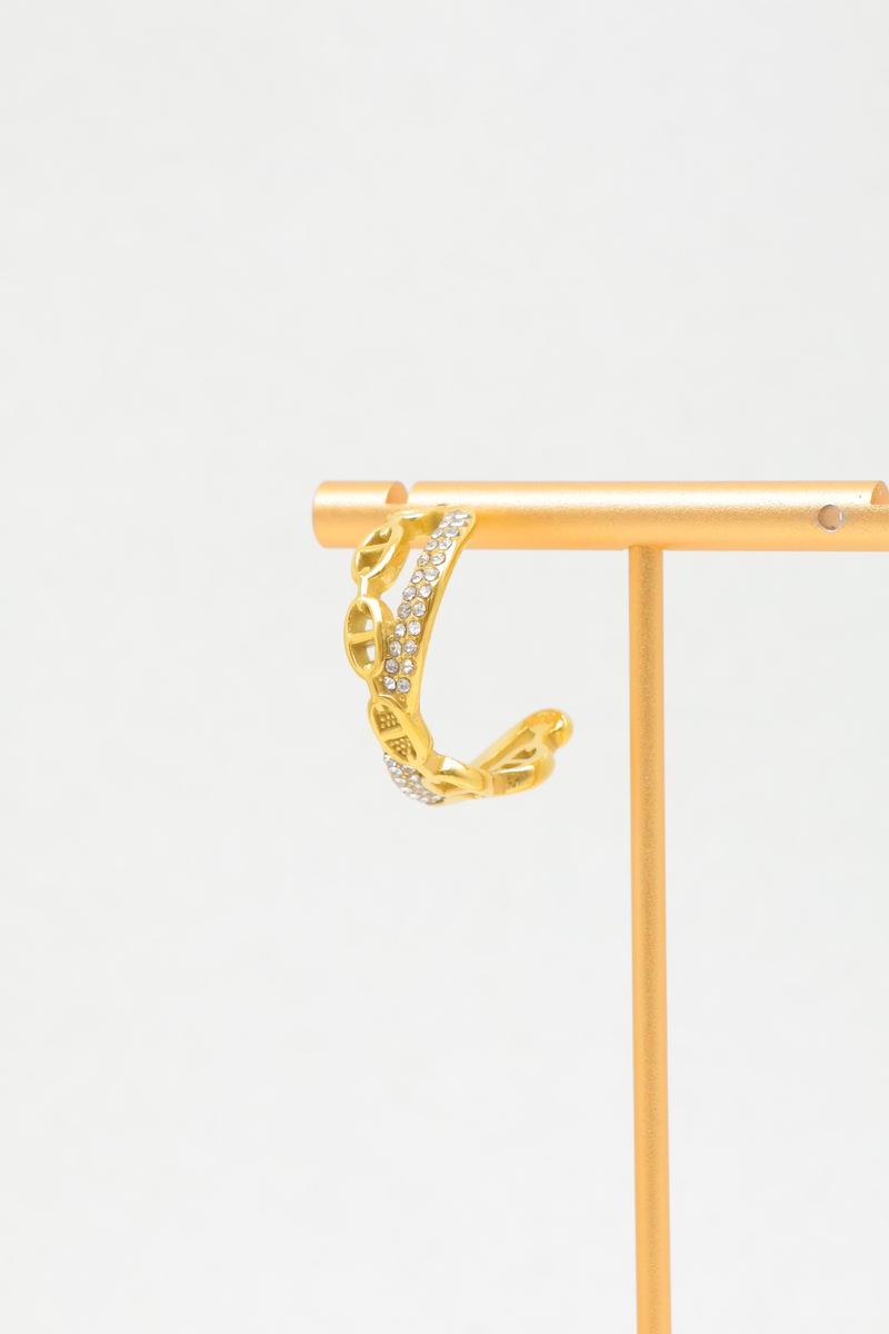 Earrings in stainless steel