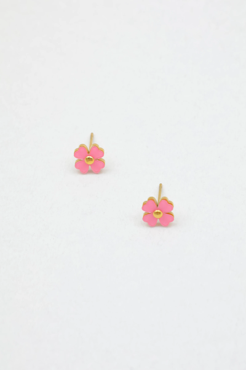 Stainless steel earrings 2