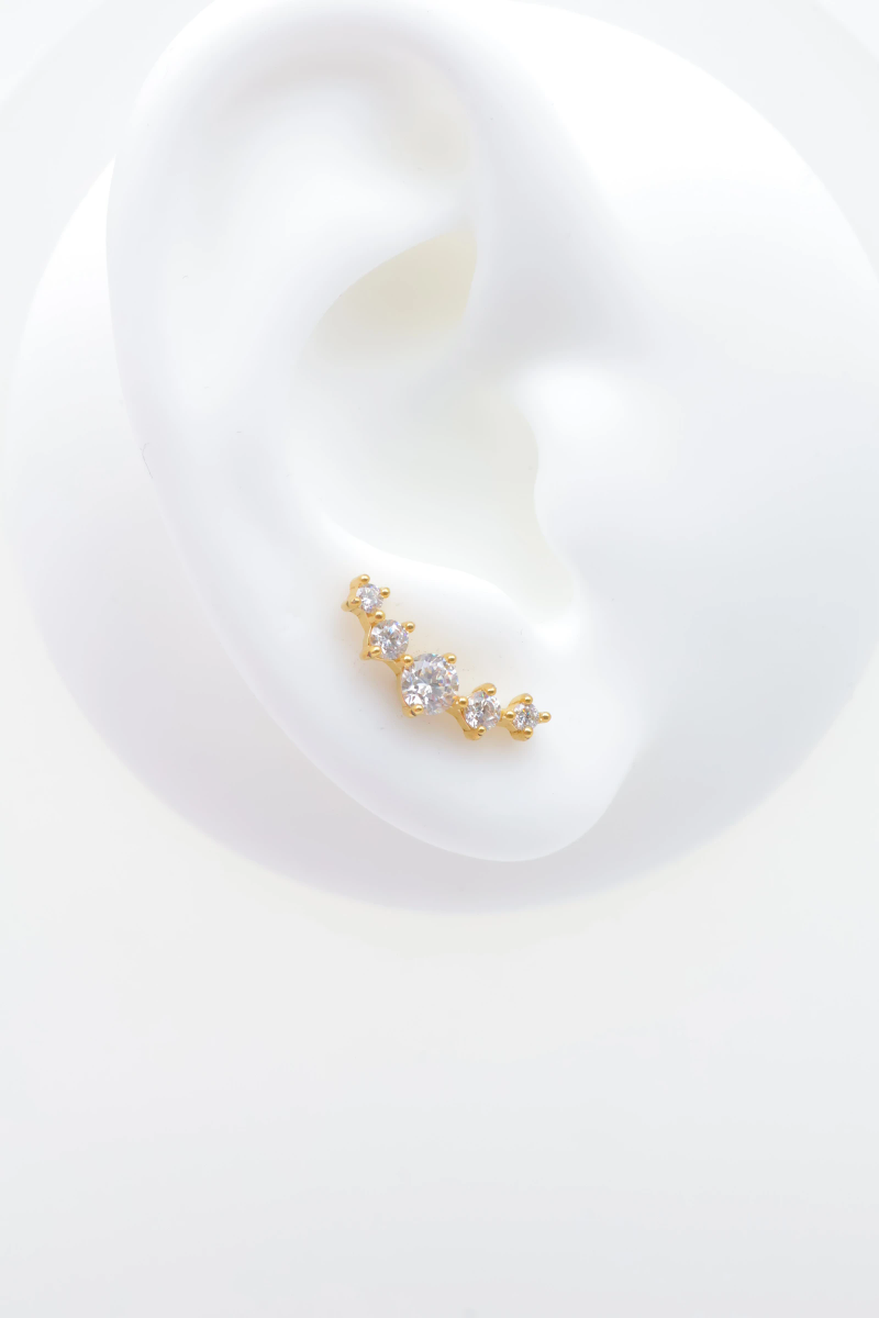 Piercing Oreille en acier inoxydable