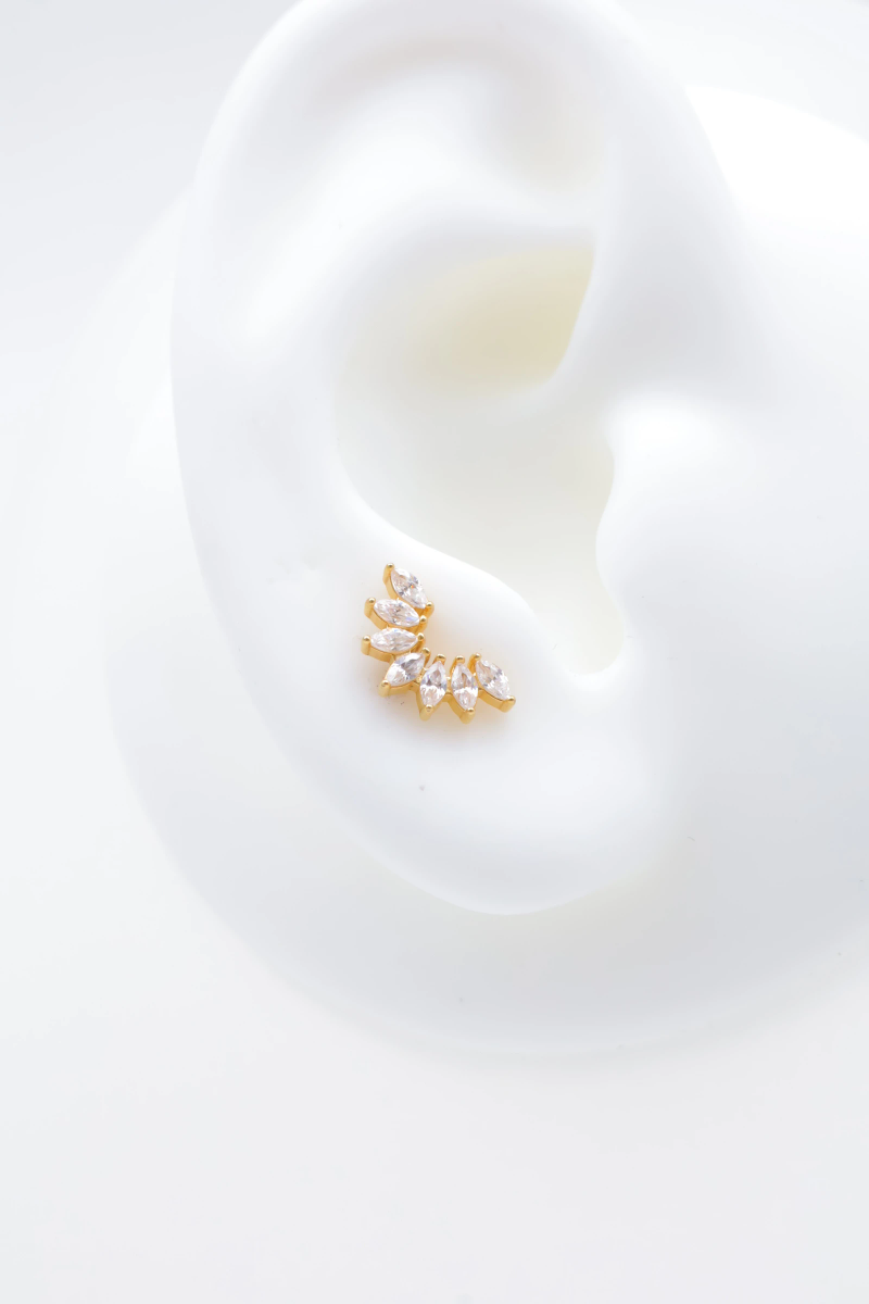 Stainless steel ear piercing