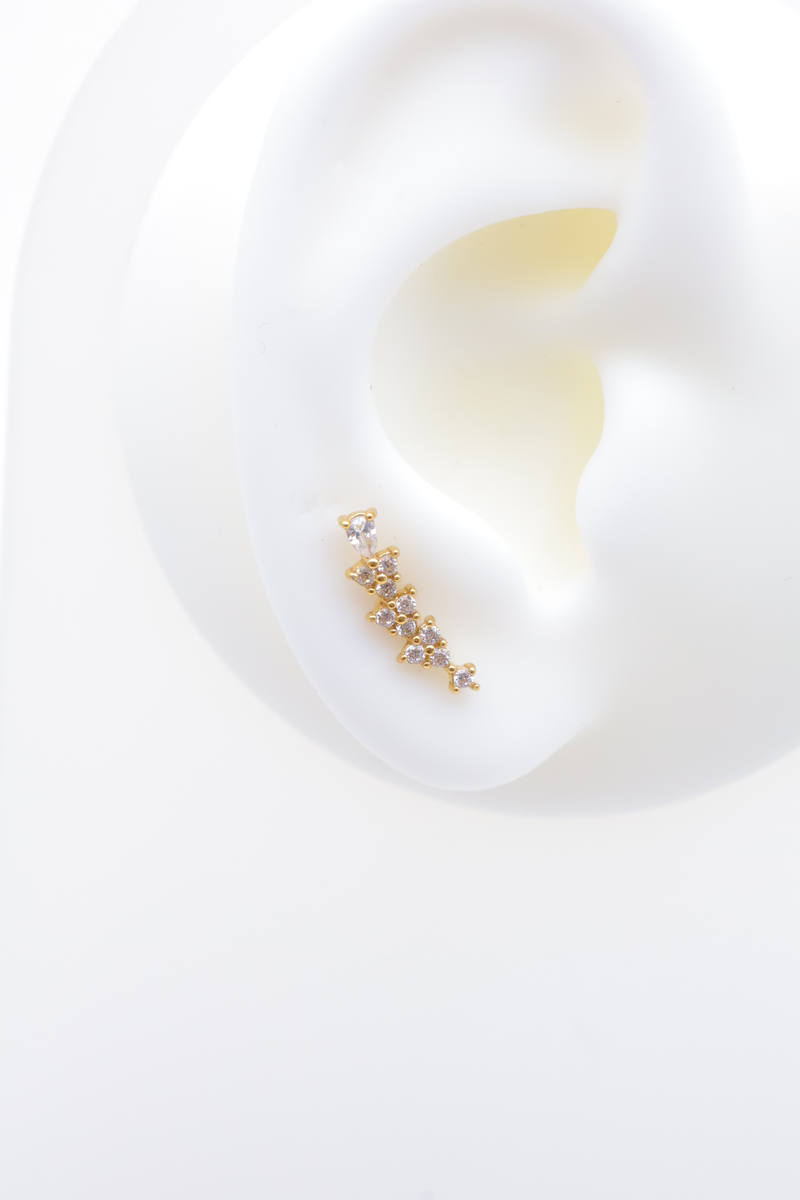 Stainless steel ear piercing 2
