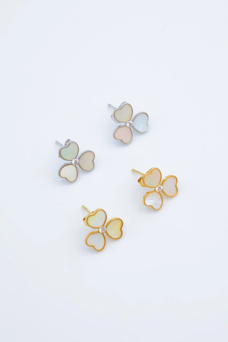 Stainless steel earrings 2