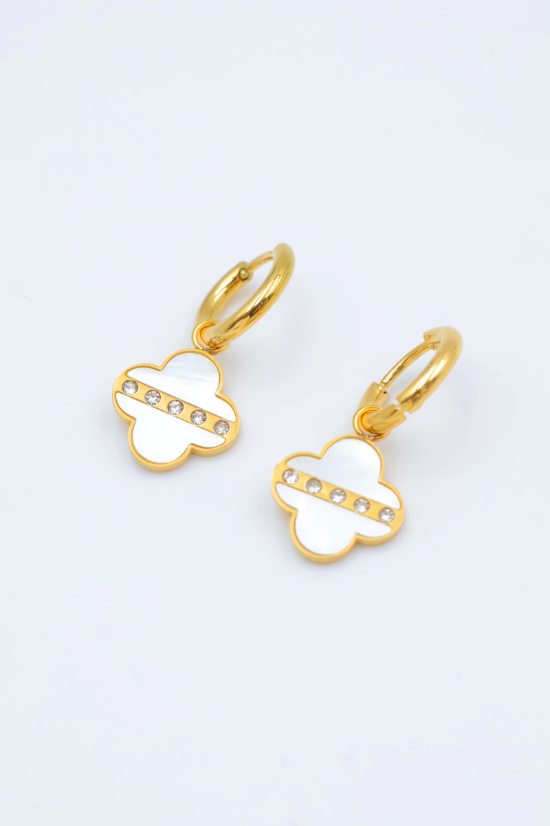 Stainless steel earrings 2
