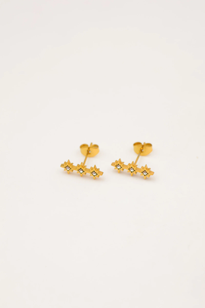 Stainless steel earrings 2