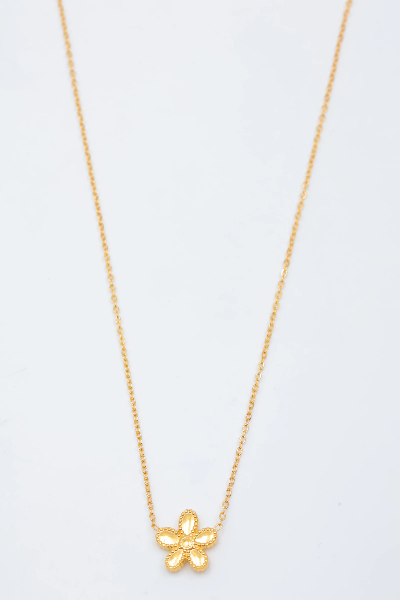 Collier en acier inoxydable 2