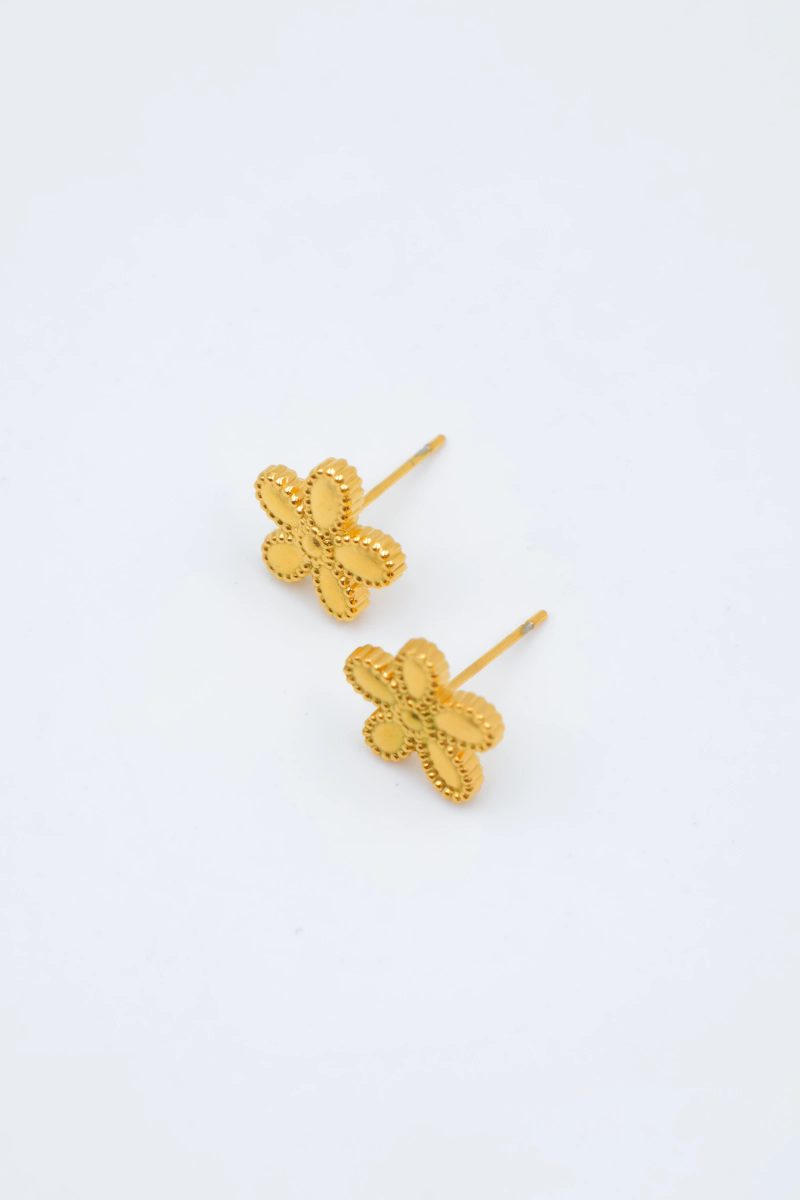 Boucles d'oreilles en acier inoxydable 2