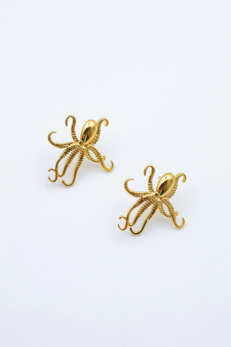 Boucles d'oreilles en acier inoxydable