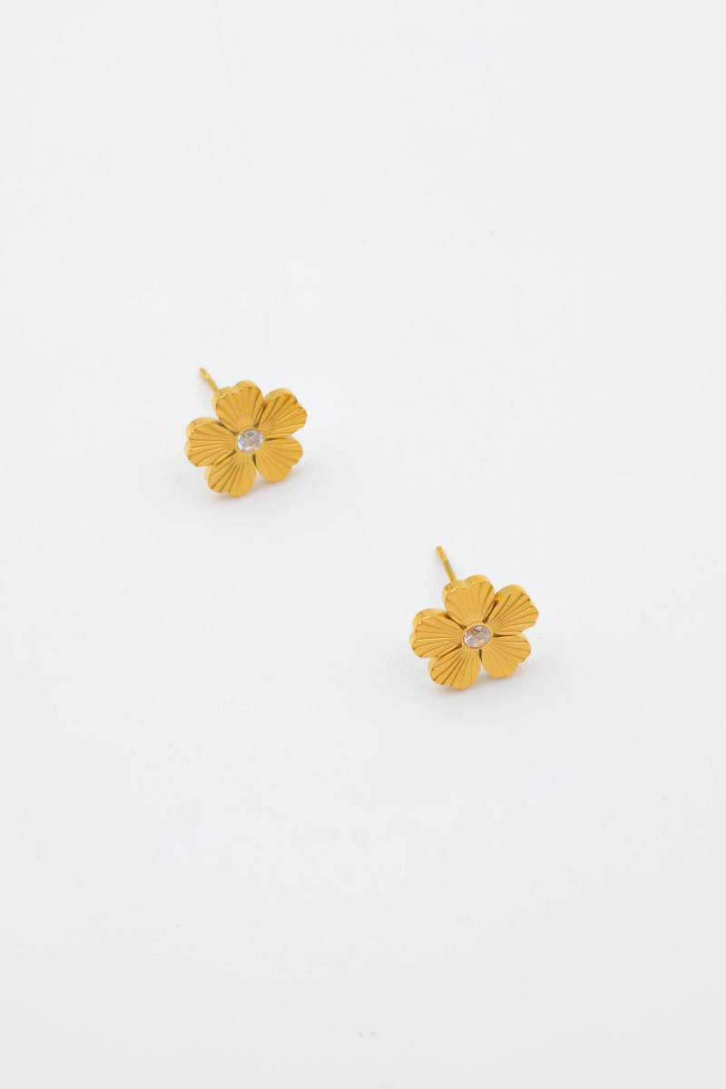 Boucles d'oreilles en acier inoxydable