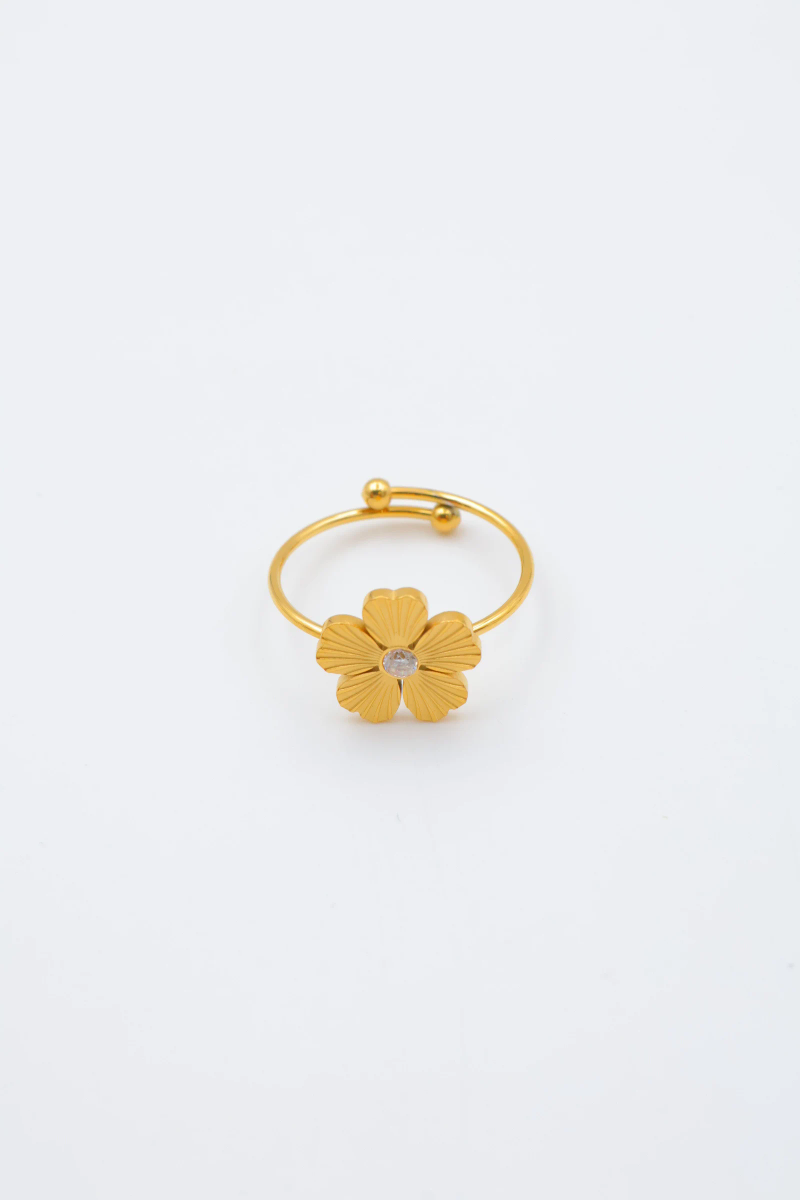 Adjustable stainless steel ring