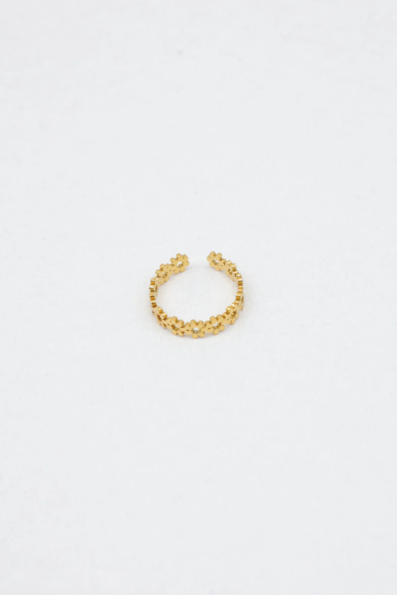 Stainless steel toe ring 2