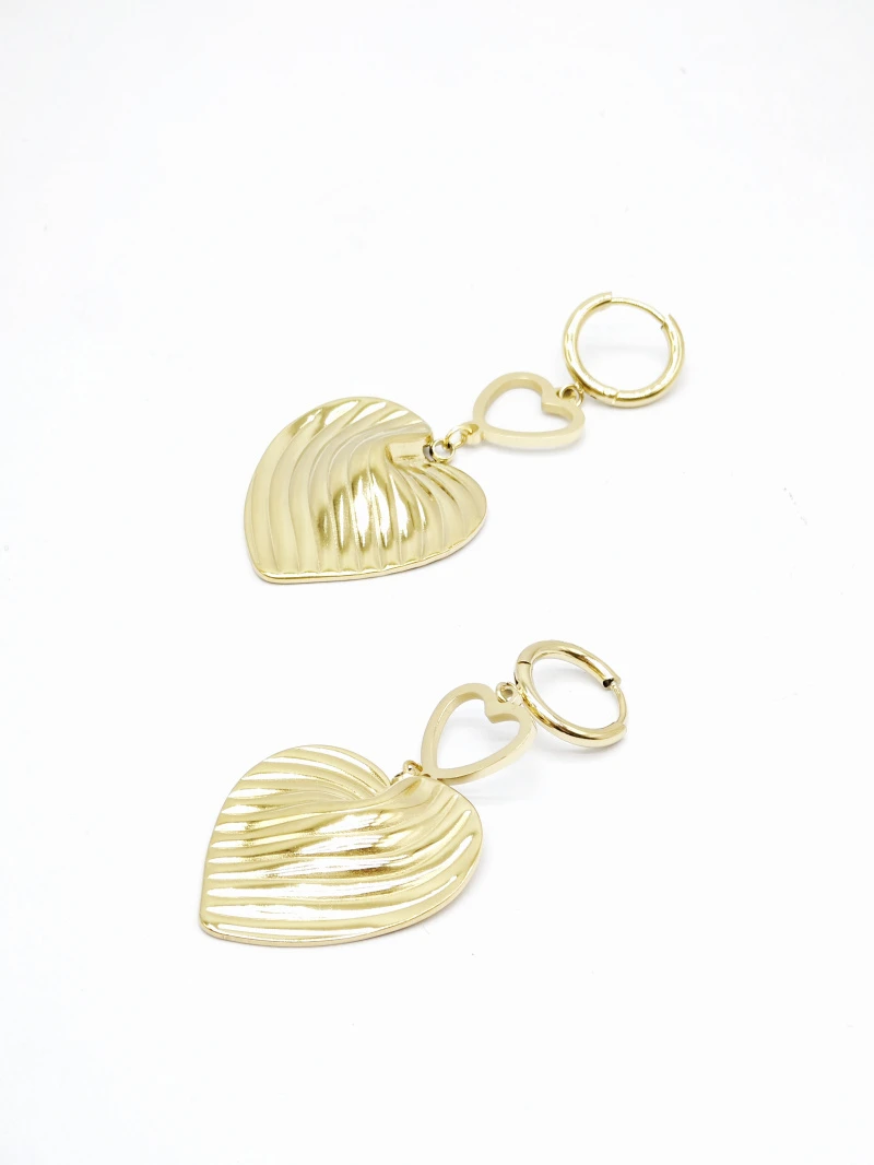 Stainless steel earrings 2