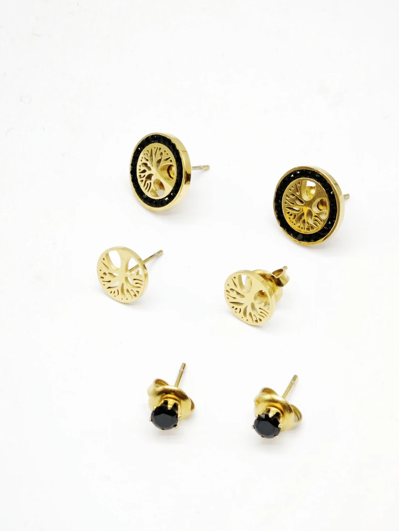 Stainless steel earrings 2