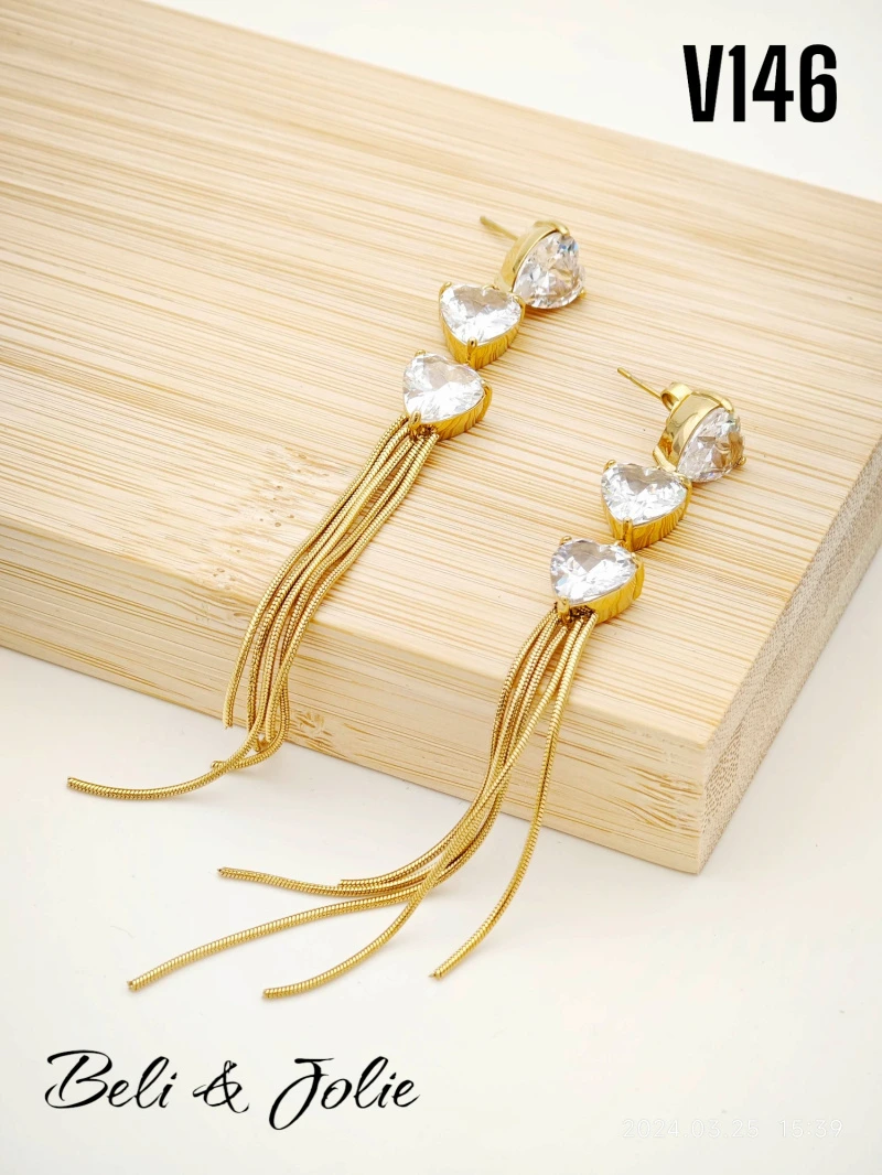 Stainless steel earrings 2