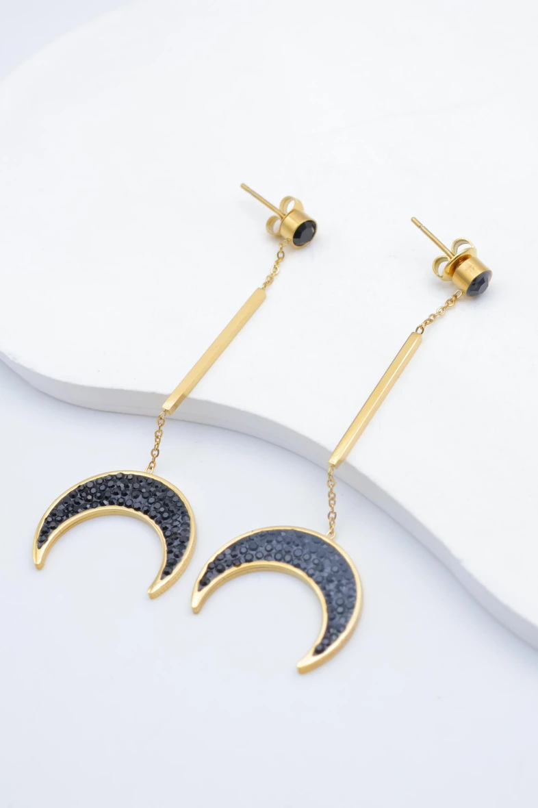 Earrings 2