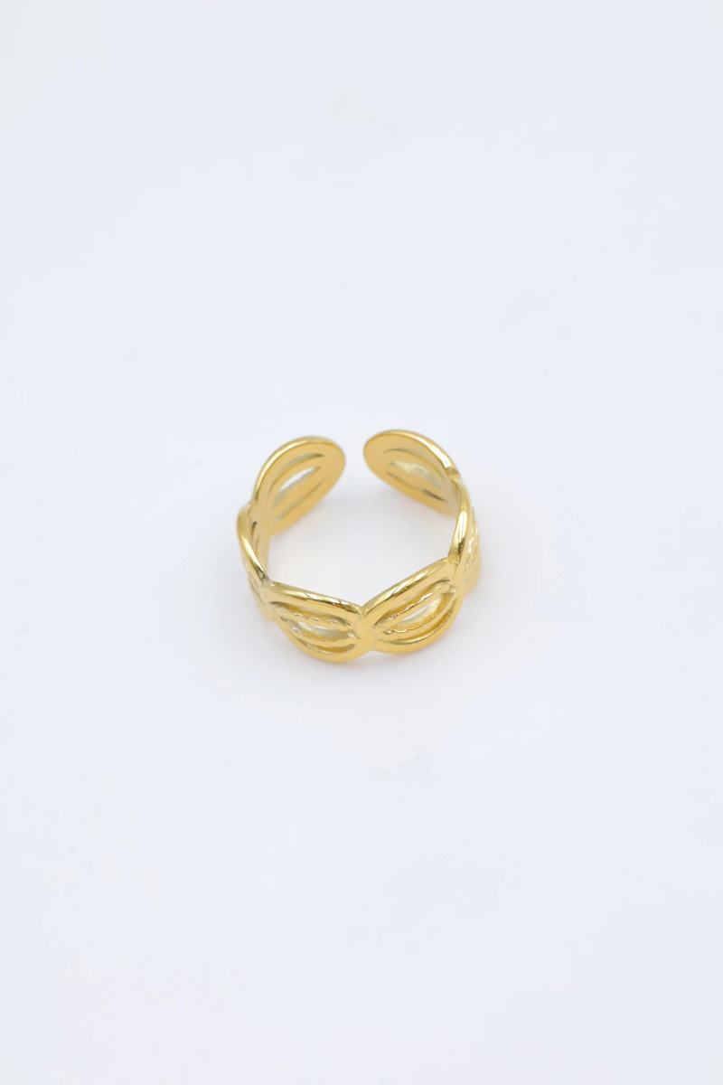 Bague en acier inoxydable ajustable 3