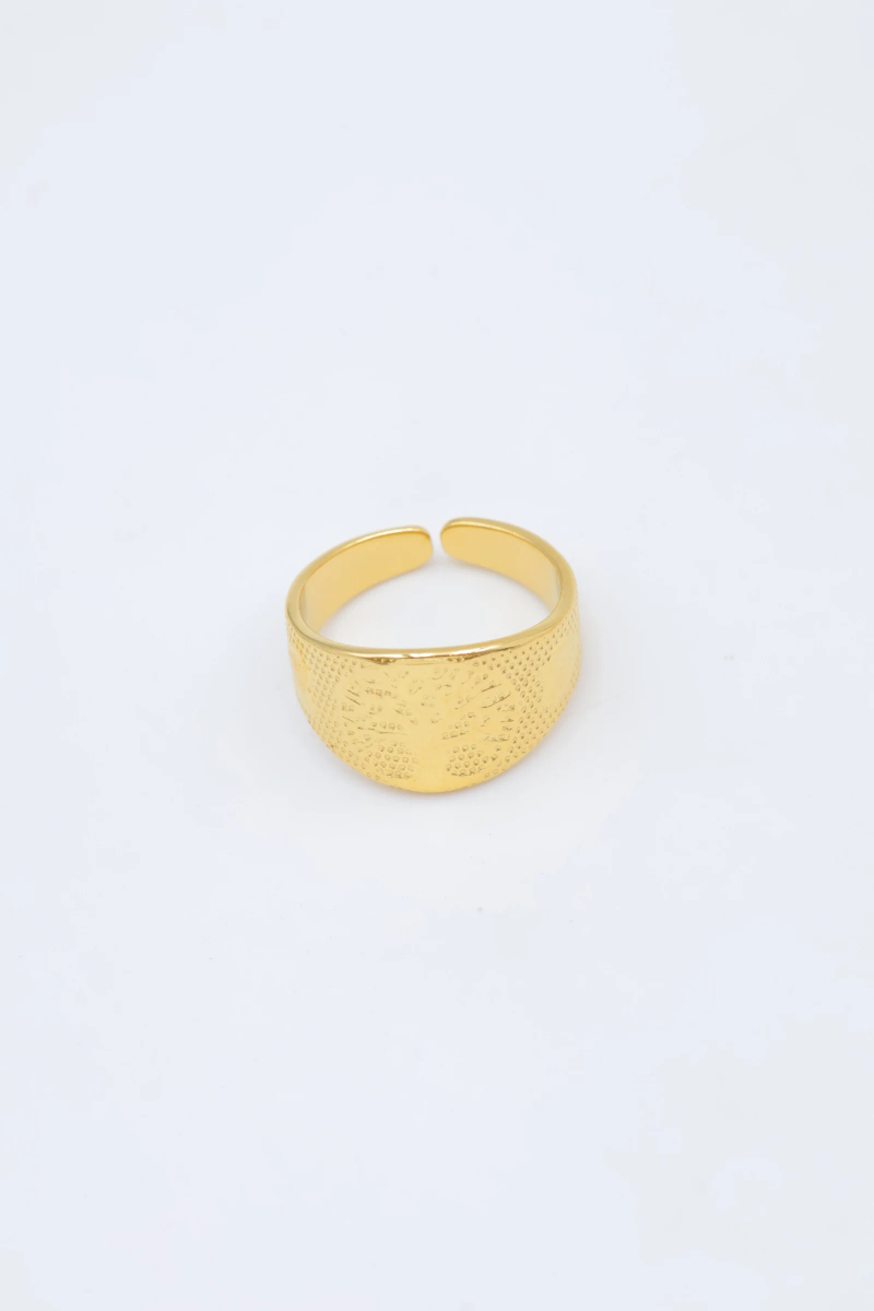 Bague en acier inoxydable ajustable 2