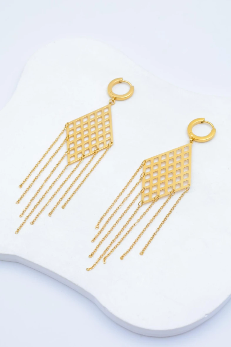 Stainless steel earrings 2