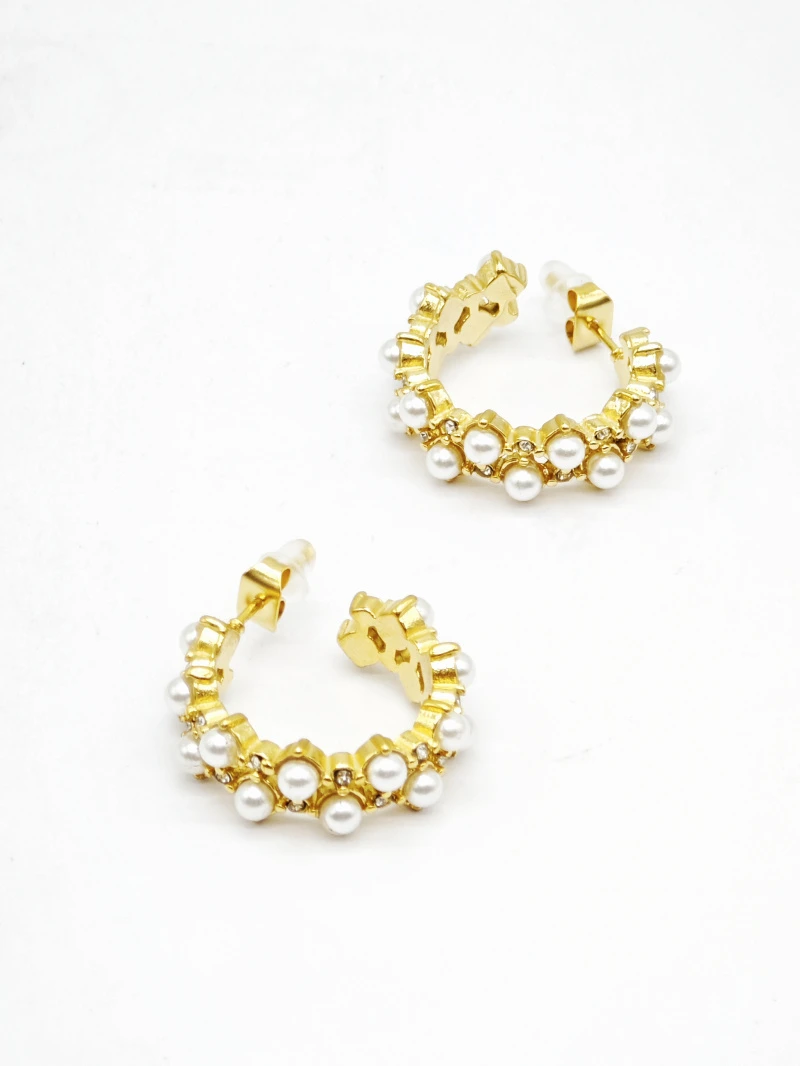 Stainless steel earrings 2