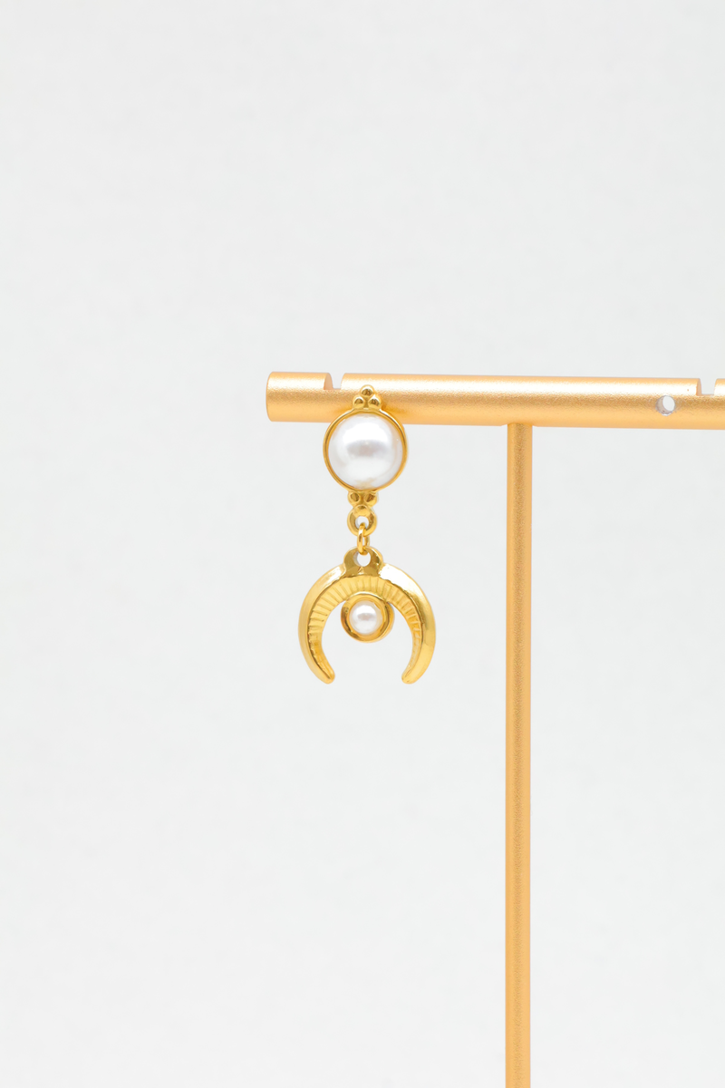 Stainless steel earrings